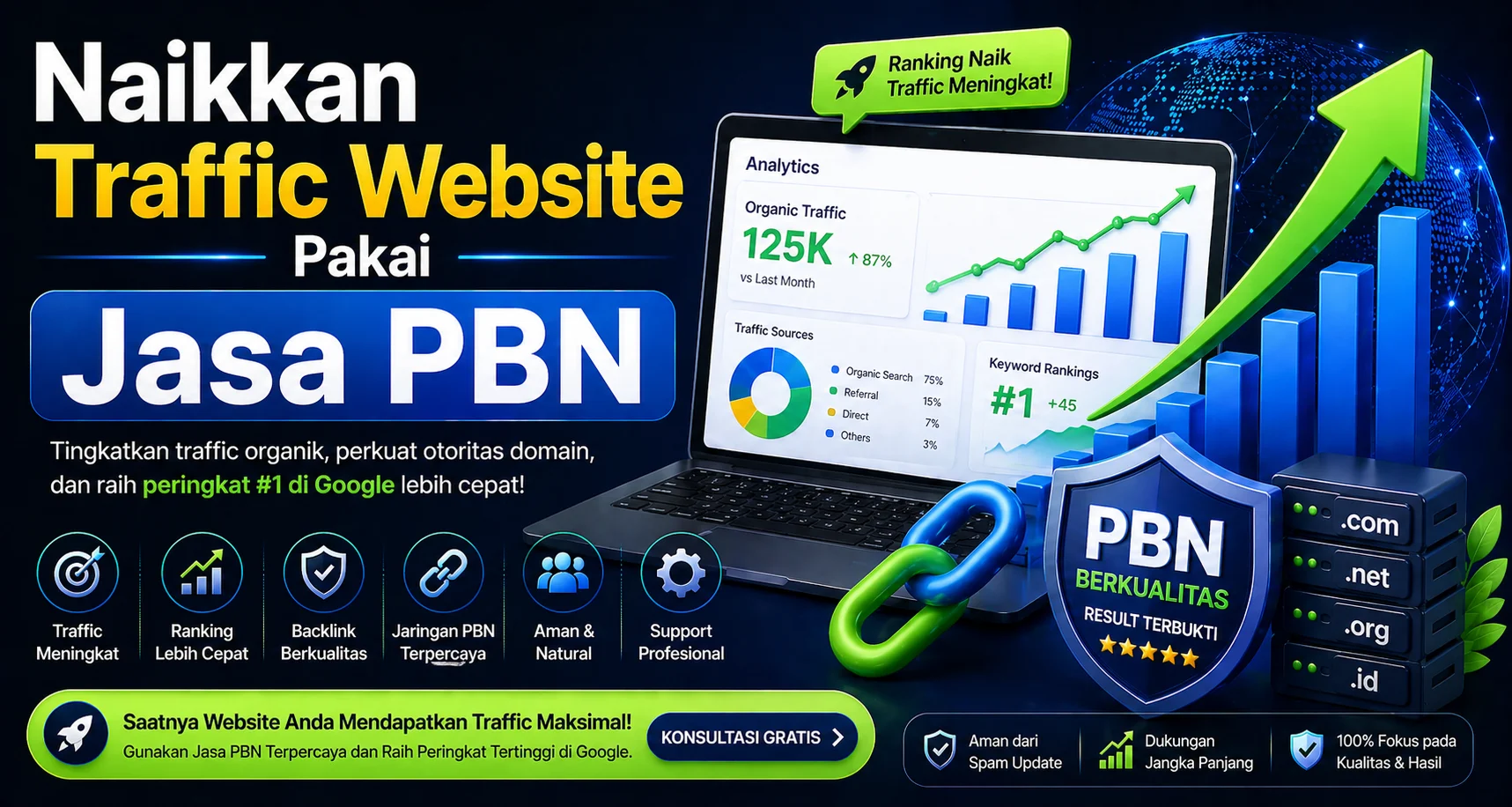 Naikkan Traffic Website Pakai Jasa PBN